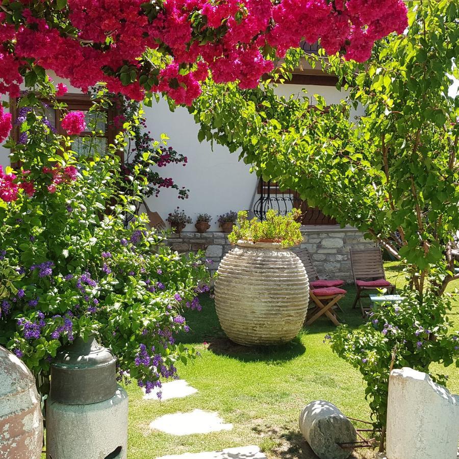 Sezgin Boutique Hotel كوشاداسيه المظهر الخارجي الصورة