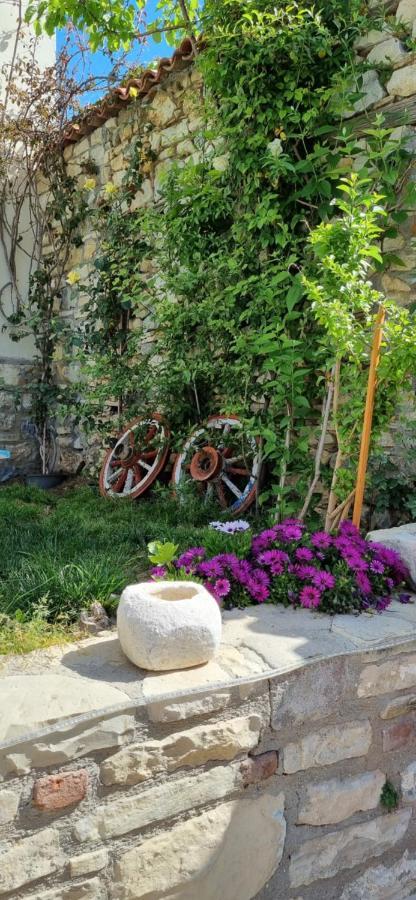 Sezgin Boutique Hotel كوشاداسيه المظهر الخارجي الصورة